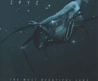 Zpyz - The Most Beautiful Legs