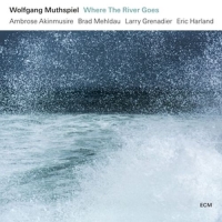 Muthspiel,Wolfgang - Where The River Goes