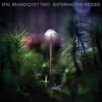 Emil Brandqvist Trio - Entering The Woods (180 gr/Black Vinyl)