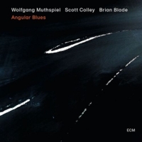 Muthspiel,Wolfgang/Colley,Scott/Blade,Brian - Angular Blues
