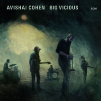 Cohen,Avishai - Big Vicious