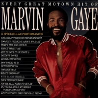 Gaye,Martin - Every Great Motown Hit Of Marvin Gaye (Vinyl)
