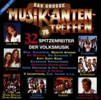 Various - D.Gr.Musikantentreffen 17