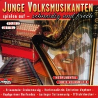 Various - Junge Volksmusikanten Spielen