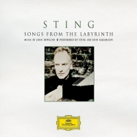 Sting & Edin Karamazov - Songs From The Labyrinth