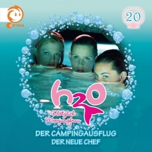 Cover - Vol. 20 - Der Campingausflug/Der neue Chef