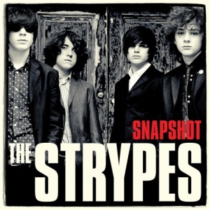 Cover - Snapshot
