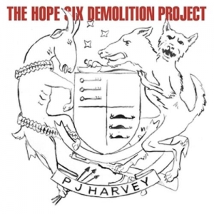 Cover - The Hope Six Demolition Project
