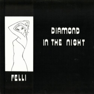 Cover - Diamond In The Night