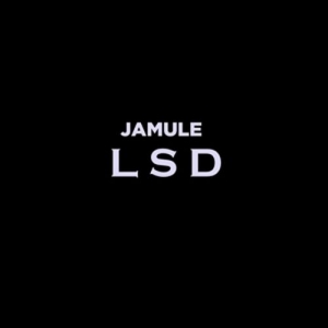 Cover - LSD (Limited Fanbox)
