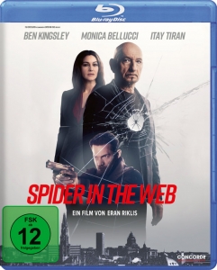 Cover - Spider in the Web/BD