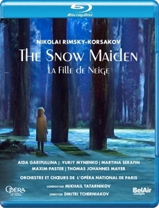 Cover - The Snow Maiden