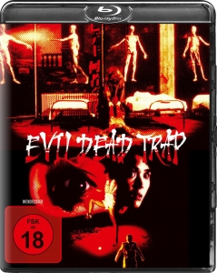 Cover - Evil Dead Trap-Die Todesfalle