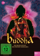 Dharmesh Shah - Buddha - Die Erleuchtung des Prinzen Siddharta, Box 3, Folge 23-33 (3 Discs)
