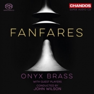 Wilson,John/Onyx Brass - A Festival of Fanfares