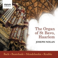 Nolan,Joseph - Joseph Nolan spielt die Orgel von St Bavo,Haarlem