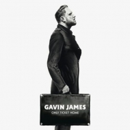 James,Gavin - Only Ticket Home