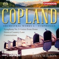 Wilson,John/BBC Philharmonic - Orchesterwerke Vol.4-Sinfonie 3/Connotation