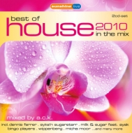 Diverse - Best Of House 2010 In The Mix