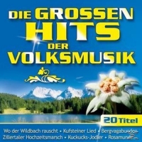 Various - Die grossen Hits der Volksmusik-Folge 1