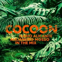Diverse - Cocoon - Ilario Alicante, Alejandro Mosso In The Mix