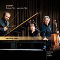 Kucharsky/Wöpke/Hopkins - Fantasie D 934 - Piano Trio D 898