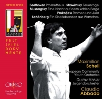 Schell,Maximilian/ECYO/GMYO/Abbado,Claudio - Claudio Abbado in memoriam