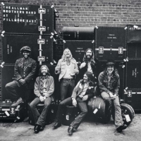 Allman Brothers Band,The - At Fillmore East (2LP)