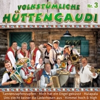 Various - Volkstümliche Hüttengaudi-Nr