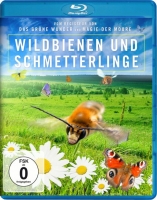 Jan Haft - Wildbienen und Schmetterlinge