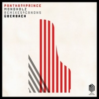 Pantha Du Prince - Mondholz