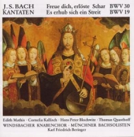 Windsbacher Knabenchor/+ - Kantaten BWV 30/19