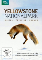 - - Yellowstone Nationalpark: Winter - Frühling - Sommer