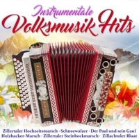 Various - Instrumentale Volksmusikhits