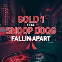 Gold 1 Ft. Snoop Dog - Fallin Apart