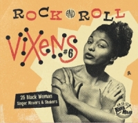 Various - Rock And Roll Vixens Vol.6