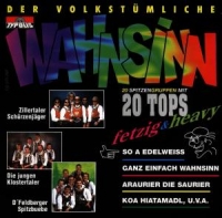 Various - Der Volkstümliche Wahnsinn/2