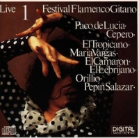 Festival Flamenco Gitano - Live Vol.1