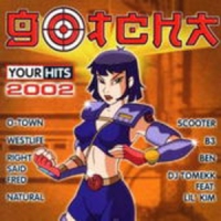 Diverse - Gotcha - Your Hits 2002