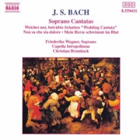 Wagner/Brembeck/CIB - Kantaten BWV 199,202,209