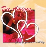 Amigos - Zwei Herzen und ein Schlag