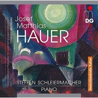 Steffen Schleiermacher - Piano