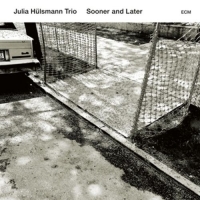Julia Hülsmann Trio - Sooner And Later