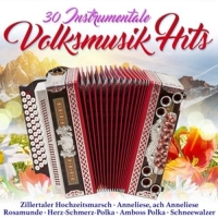 Various - 30 instrumentale Volksmusik Hi
