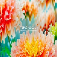 Various - Global Underground:Select #5