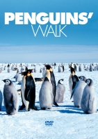 Documentation - Penguins' Walk