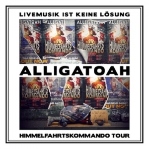 Cover - Livemusik Ist Keine Lösung-Himmelfahrtskommando