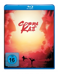 Cover - Cobra Kai Season 2