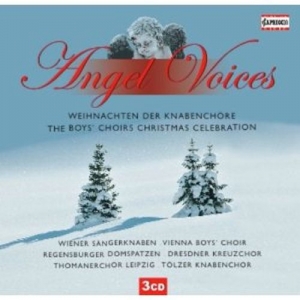 Cover - Angel Voices