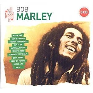 Cover - All You Need Is: Bob Marley